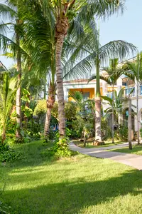 Boardwalk Garden