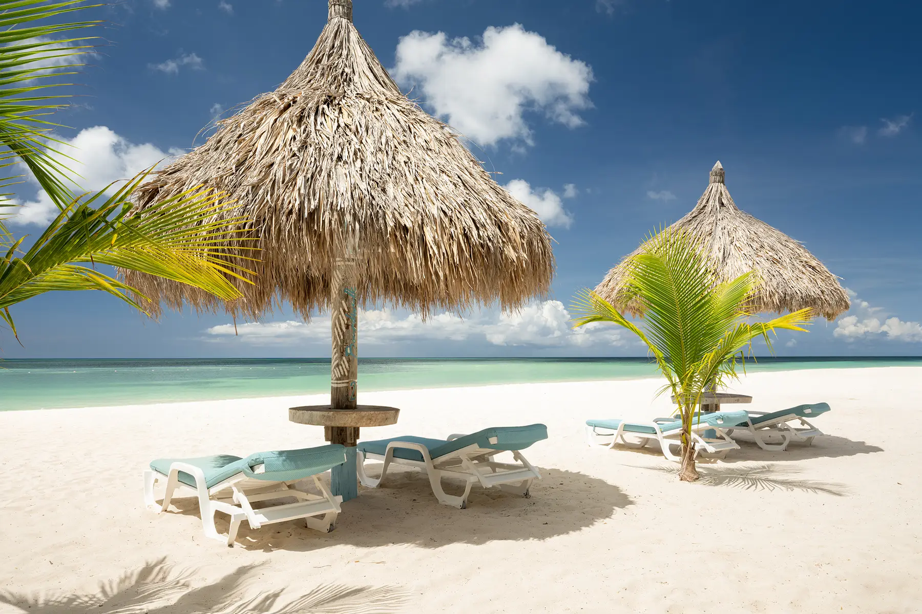 A Day at Boardwalk Beach on Aruba's Iconic Palm Beach | Boardwalk Boutique Hotel Aruba