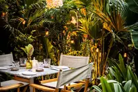 Cozy dining table set under string lights and lush tropical plants.