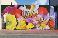 Street art in San Nicolaas Aruba