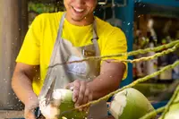 Fresh Coconuts from Boardwalk Garden