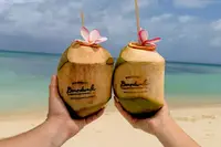 Fresh Coconuts from Boardwalk Garden at Boardwalk Beach