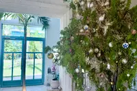 Boardwalk Boutique Hotel Aruba lobby entrance with blue doors and a tropical Christmas tree decorated with lights and ornaments.