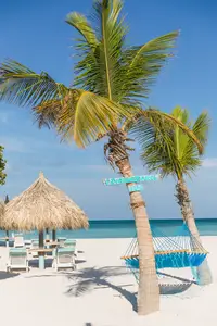 Hammock on Boardwalk Beach area on Palm Beach