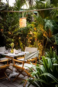 Cozy dining table set under string lights and lush tropical plants.