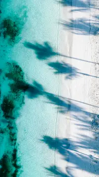 Aerial view of Aruba’s turquoise ocean and white-sand shoreline at palm beach 
