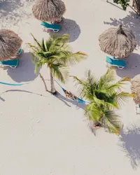 Boardwalk Boutique Hotel Aruba hammock at Beach area on Palm Beach Aruba