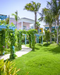 Boardwalk Tropical oasis