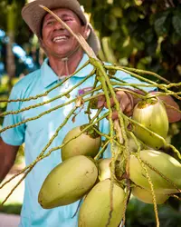 Fresh garden coconuts from Boardwalk Garden