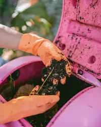 Organic waste being composted at Boardwalk Boutique Hotel Aruba as part of its sustainability practices supporting Green Globe Certification.
